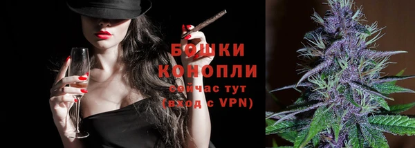 сатива Елизово