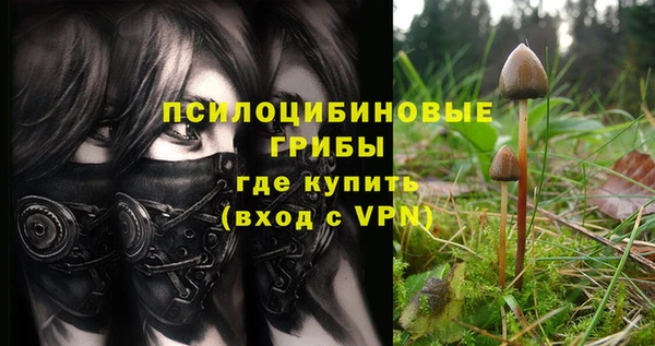 твердый Елабуга