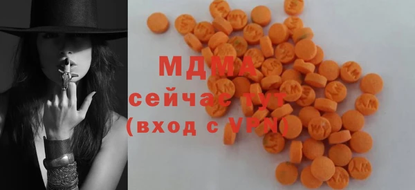 сатива Елизово