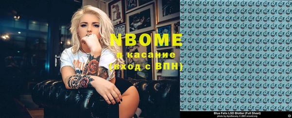 сатива Елизово