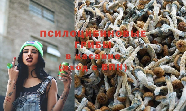 MDMA Premium VHQ Ельня