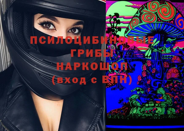 сатива Елизово