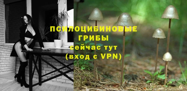 сатива Елизово