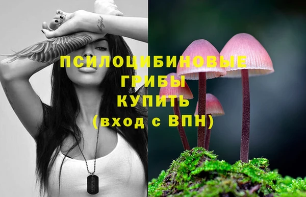 MDMA Premium VHQ Ельня